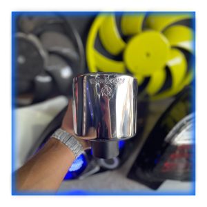 سراگزوز بیضی ریموس